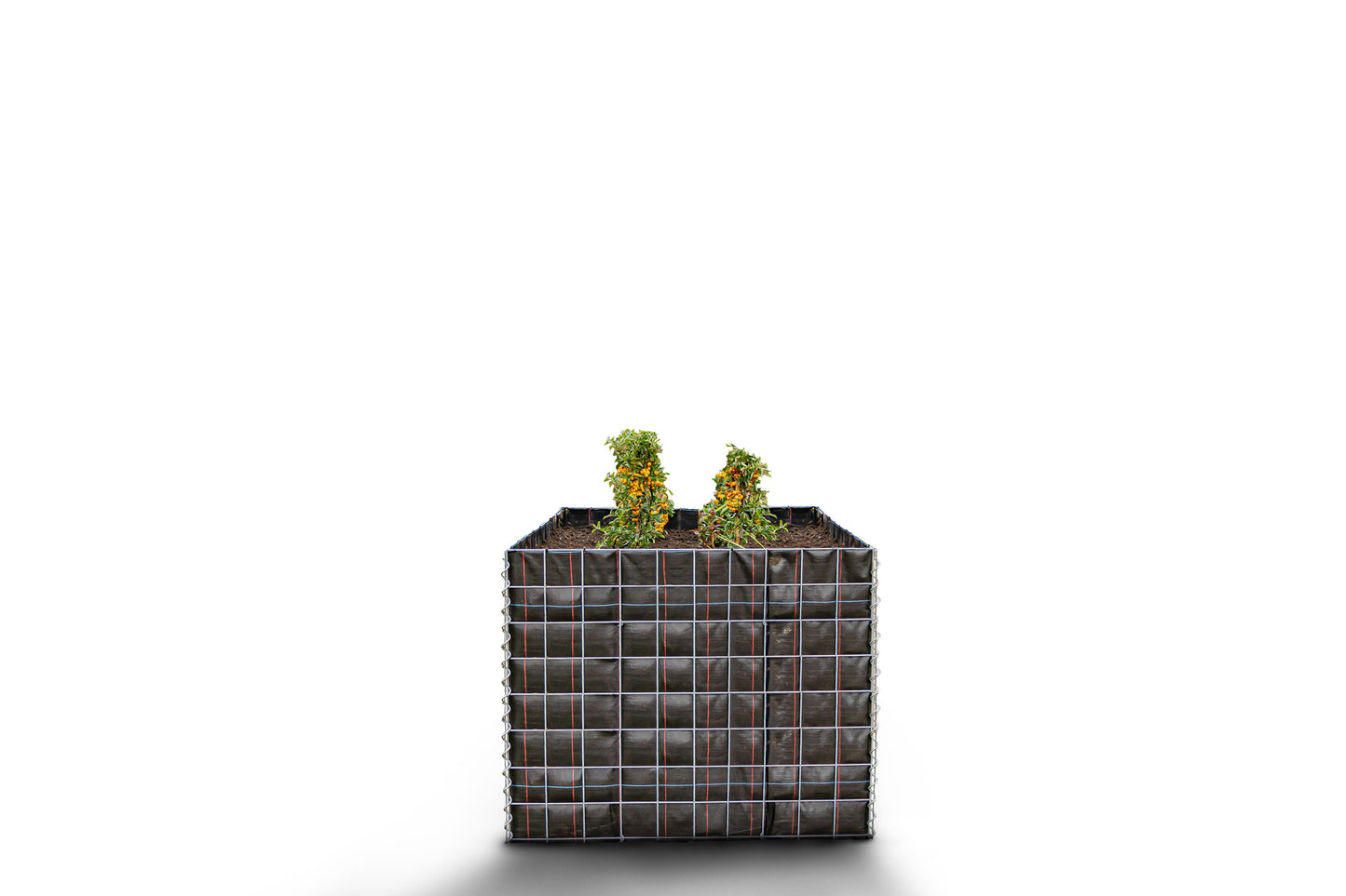 Hochbeet eckig ohne Steinbereich - Länge: 100 cm - Höhe: 80 cm - Tiefe: 100 cm - Maschenweite: 10 x 10 cm