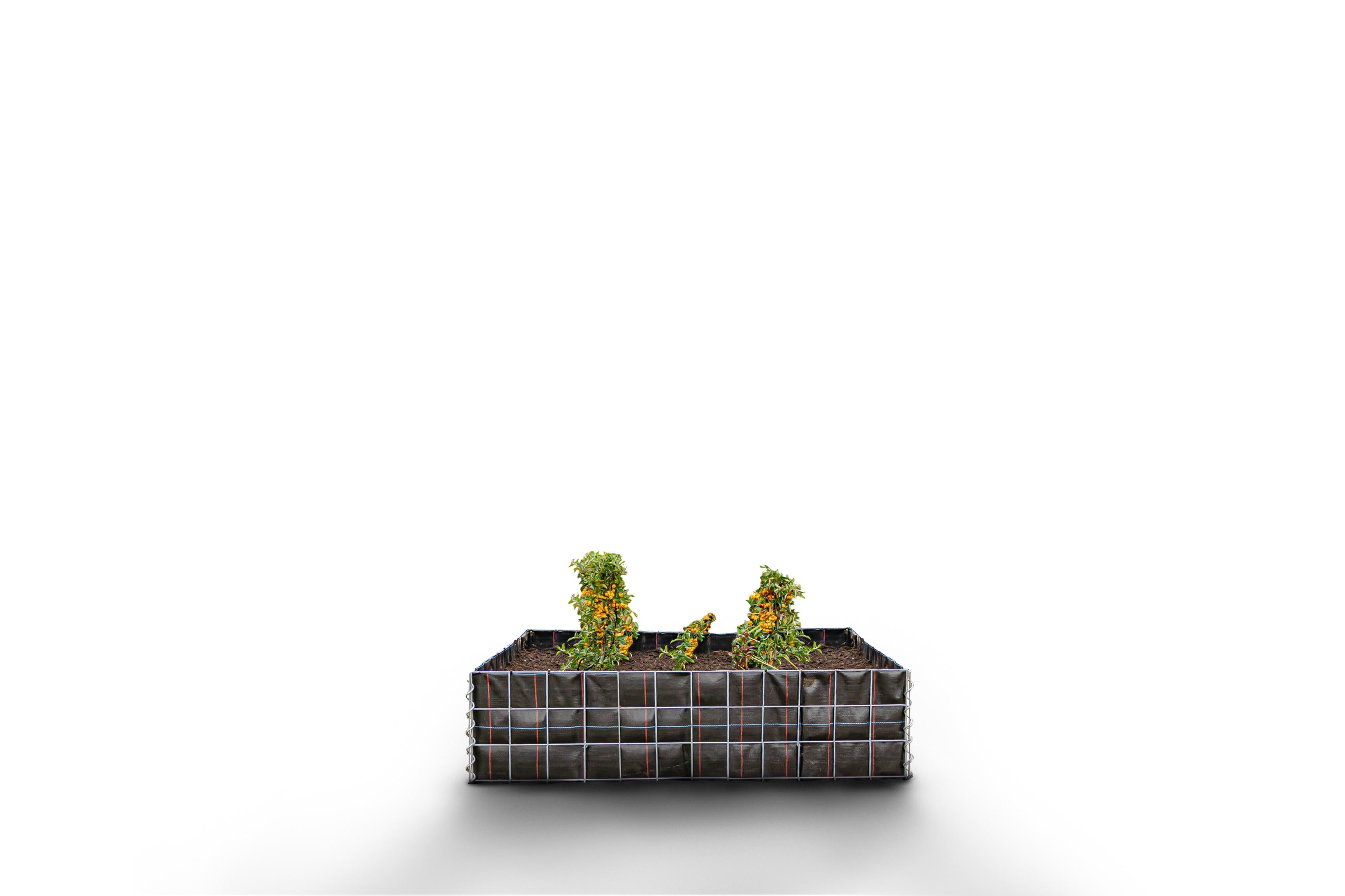 Rektangulär upphöjd bädd utan stenyta - Längd: 120 cm - Höjd: 30 cm - Djup: 50 cm - Maskstorlek: 10 x 10 cm