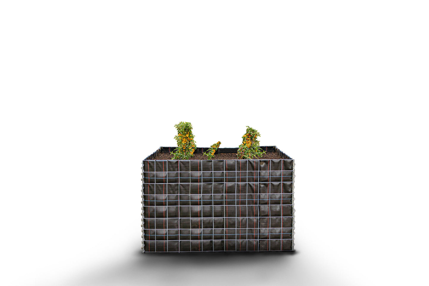 Canteiro quadrado elevado sem pedras 130 cm x 80 cm x 80 cm