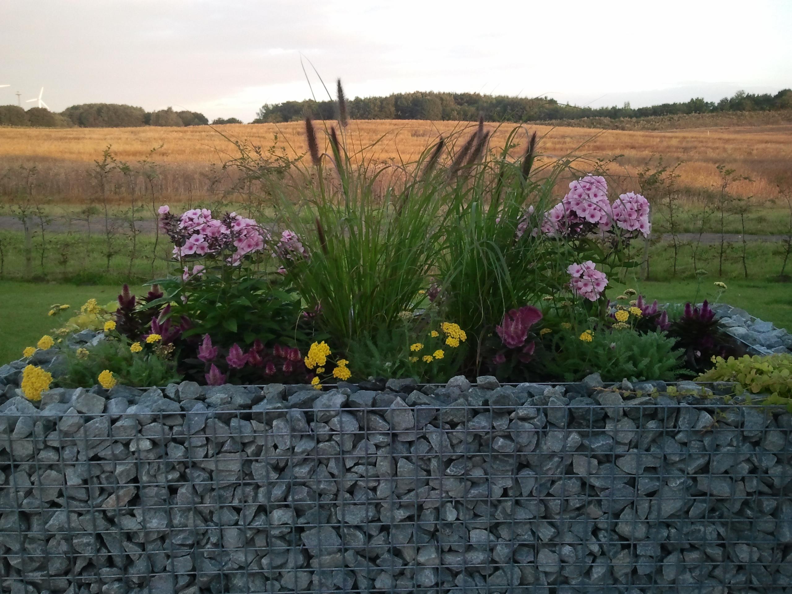 Højbed firkantet 200 cm x 100 cm x 100 cm (L x H x D), maskestørrelse 5 x 5 cm, vægtykkelse 10 cm