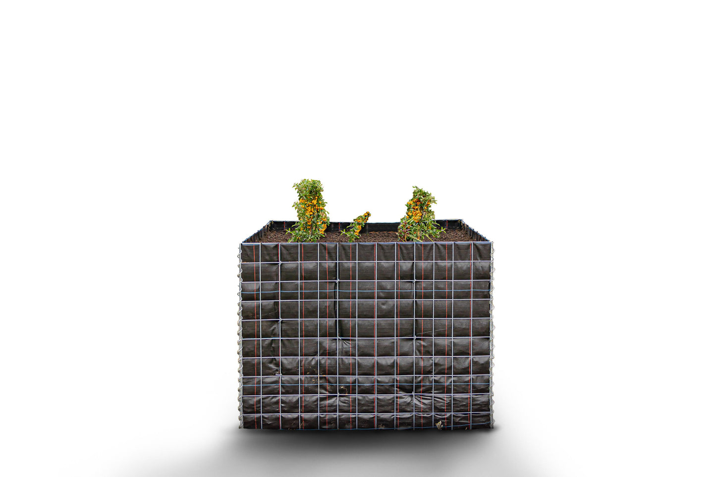 Högbädd, fyrkantig utan stenområde - Längd: 130 cm - Höjd: 100 cm - Djup: 60 cm - Maskstorlek: 10 x 10 cm