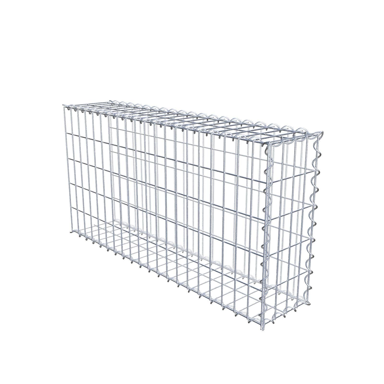 Grown-on gabion type 2 100 cm x 50 cm x 20 cm (L x H x D), mesh size 5 cm x 10 cm, spiral