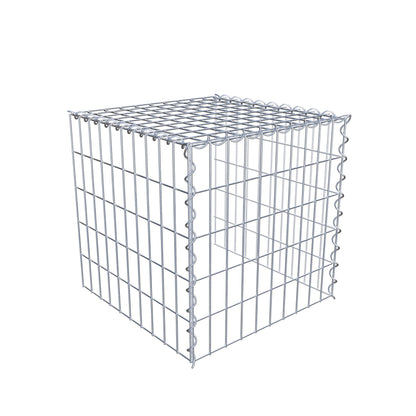 Grown-on gabion type 4 50 cm x 50 cm x 50 cm (L x H x D), mesh size 5 cm x 10 cm, spiral