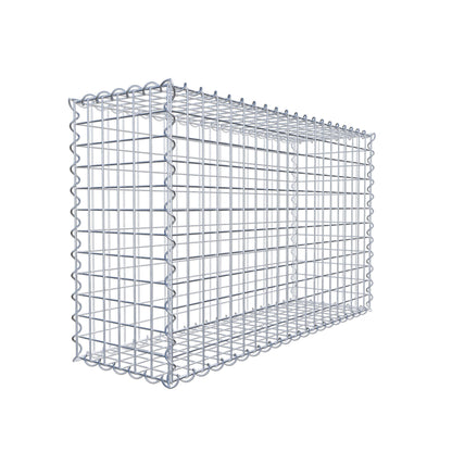 Gabion 100 cm x 60 cm x 30 cm (L x H x P), mailles 5 cm x 5 cm, spirale