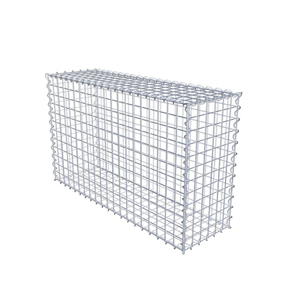 Gabion 100 cm x 60 cm x 30 cm (L x H x P), mailles 5 cm x 5 cm, spirale