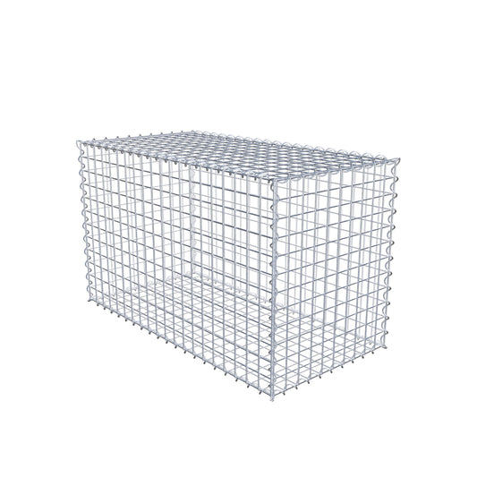 Gabion 100 cm x 60 cm x 50 cm (L x H x P), mailles 5 cm x 5 cm, spirale