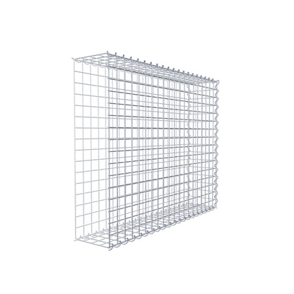 Opvokset gabion type 2 100 cm x 80 cm x 20 cm (L x H x D), maskestørrelse 5 cm x 5 cm, spiral