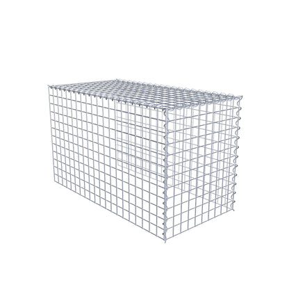 Extra gabion typ 4 100 cm x 60 cm x 50 cm (L x H x D), maskstorlek 5 cm x 5 cm, spiral
