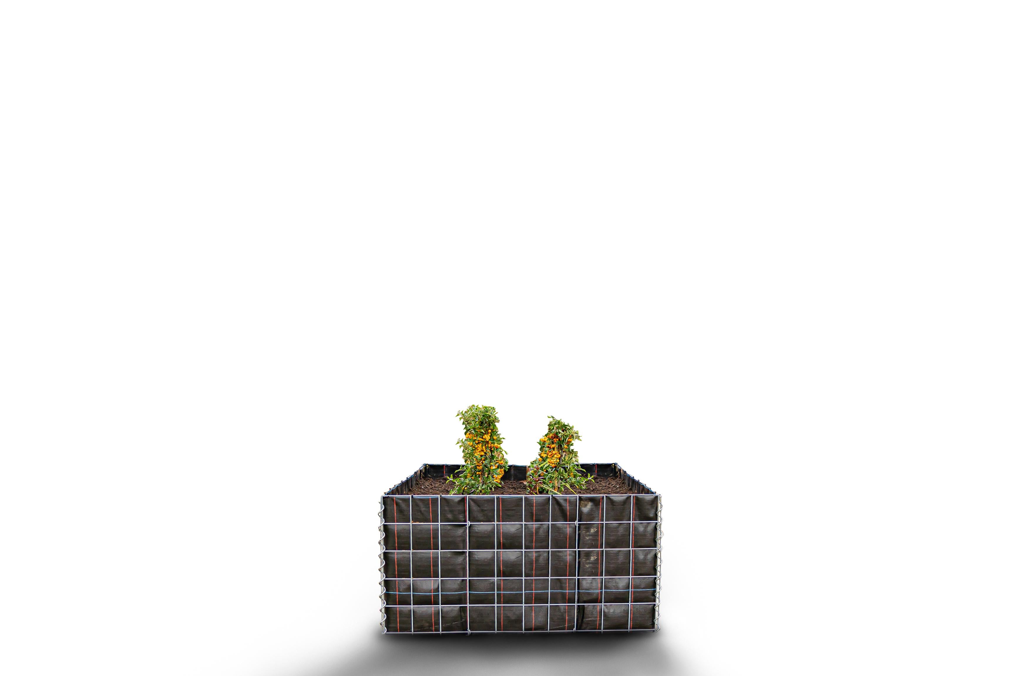 Rektangulär upphöjd bädd utan stenyta - Längd: 100 cm - Höjd: 50 cm - Djup: 50 cm - Maskstorlek: 10 x 10 cm