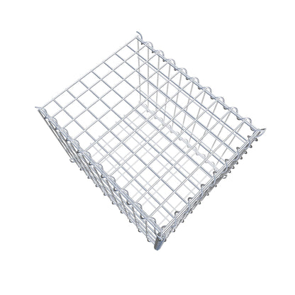 Grown-on gabion type 2 50 cm x 40 cm x 40 cm (L x H x D), mesh size 5 cm x 10 cm, spiral