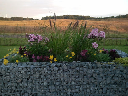 Lit surélevé carré 200 cm x 100 cm x 100 cm (L x H x P), mailles 5 x 5 cm, épaisseur des parois 10 cm