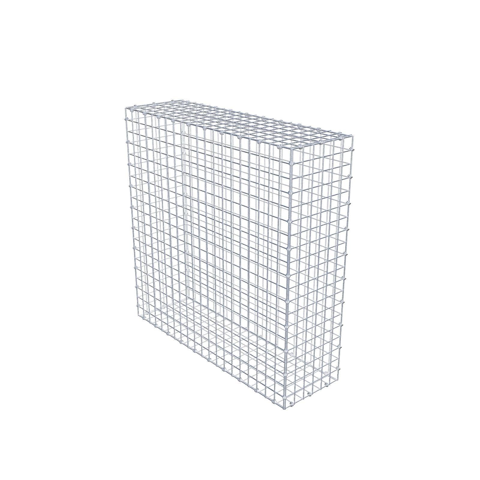 Gabbione 100 cm x 100 cm x 30 cm (L x H x P), maglia 5 x 5 cm, anello a spirale
