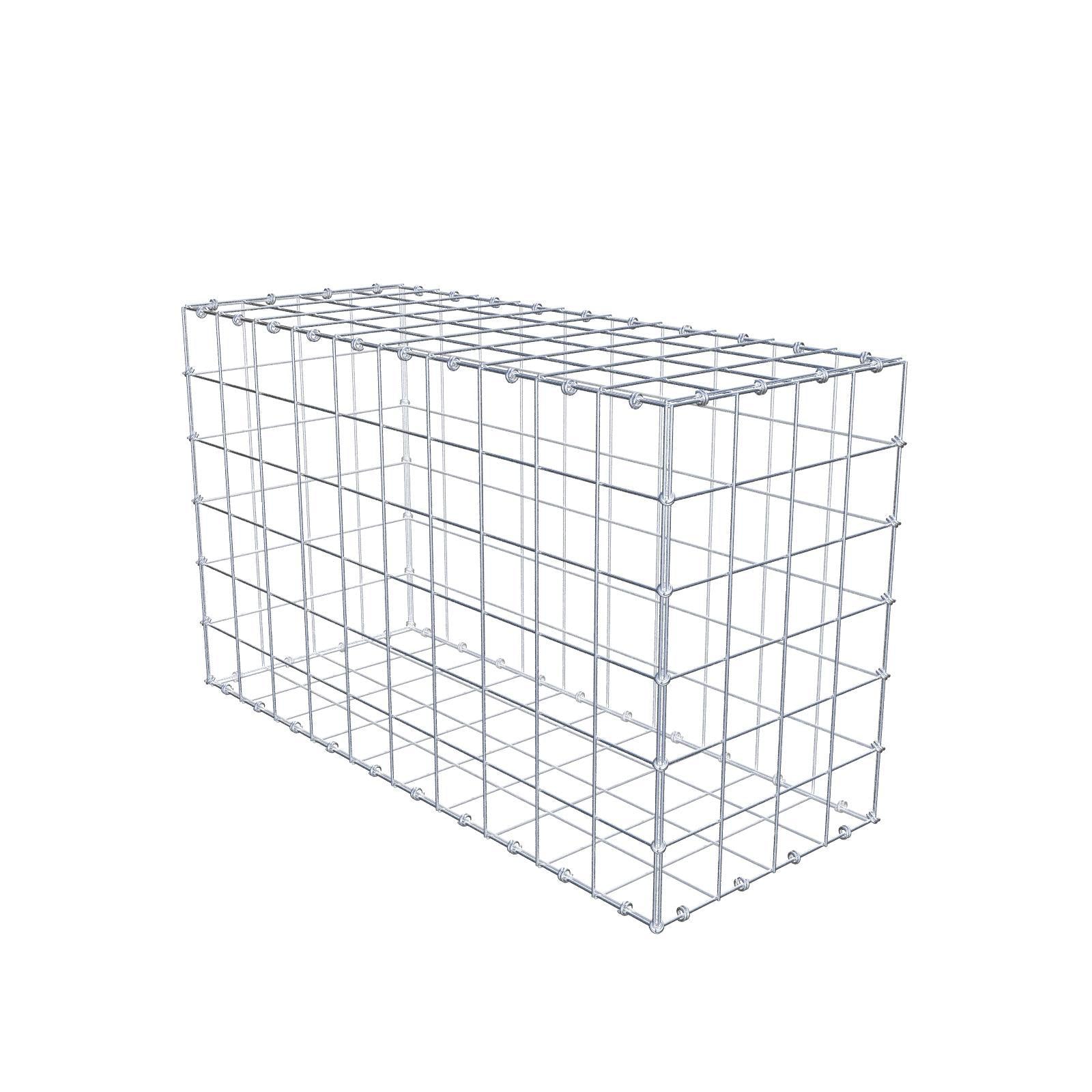 Gabbione 100 cm x 60 cm x 40 cm (L x H x P), maglia 10 x 10 cm, anello a spirale