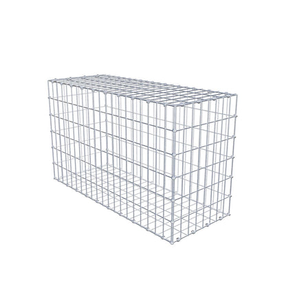 Gabion 100 cm x 60 cm x 40 cm (L x H x P), mailles 5 x 10 cm, anneau en spirale