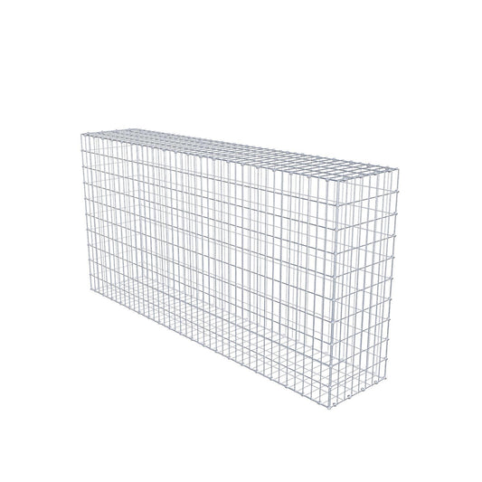 Gabion 200 cm x 100 cm x 40 cm (L x H x P), mailles 5 x 10 cm, anneau en spirale