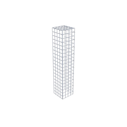 Extra gabion typ 4 100 cm x 20 cm x 20 cm (L x H x D), maskstorlek 5 cm x 5 cm, C-ring