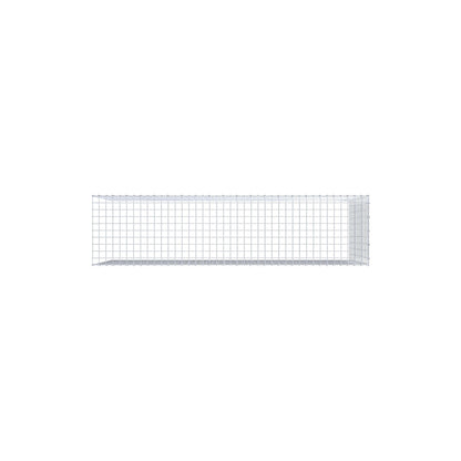 Anbaugabione Typ 4 200 cm x 100 cm x 50 cm (L x H x T), Maschenweite 5 cm x 5 cm, C-Ring