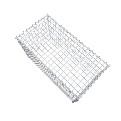 Opvokset gabion type 3 100 cm x 60 cm x 50 cm (L x H x D), maskestørrelse 5 cm x 10 cm, spiral