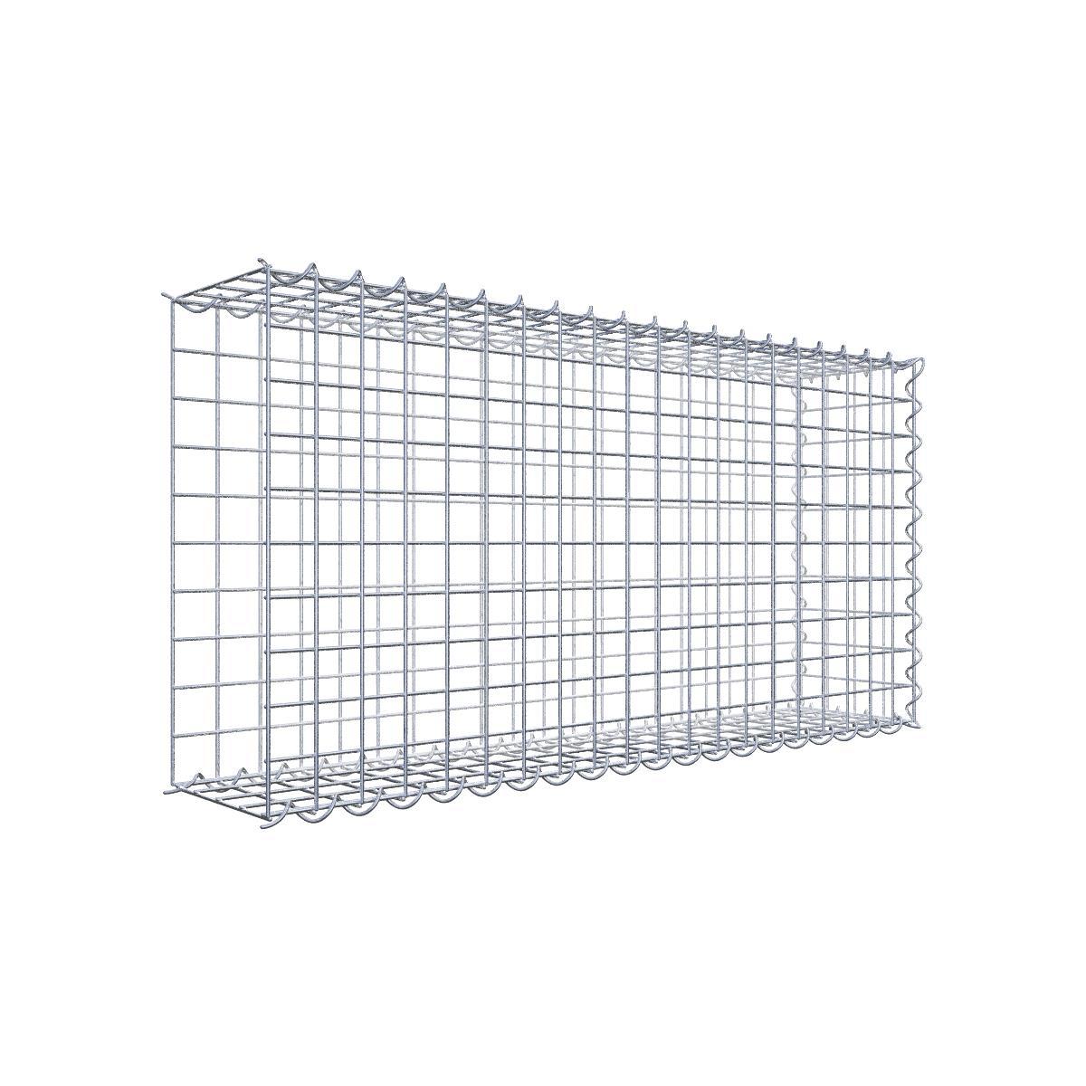 Gabione 05x05 100x050x020 Typ2 Spiral