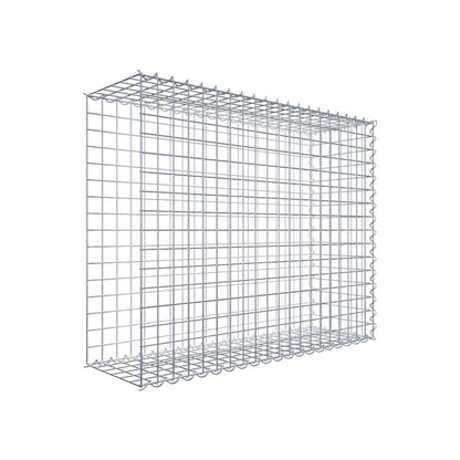 Gabione 05x05 100x080x030 Typ2 Spiral