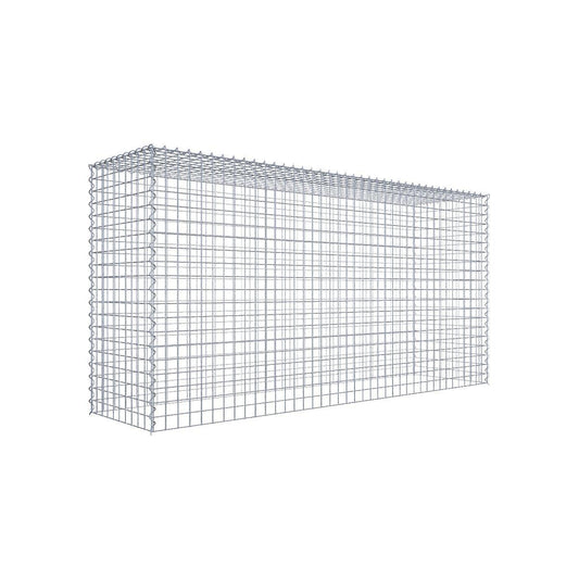 Gabione 05x05 200x100x050 Typ3 Spiral