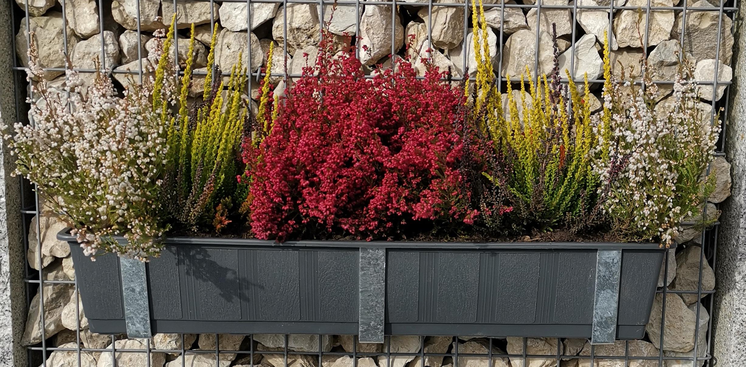 Galvaniseret blomsterkasseholder i sæt af 3 inkl. urtepotte, til gabioner MW 5 x 10