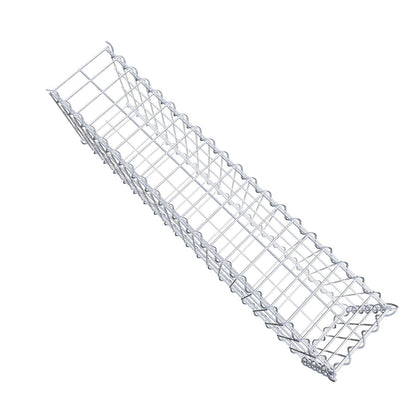 Opvokset gabion type 2 100 cm x 30 cm x 20 cm (L x H x D), maskestørrelse 5 cm x 10 cm, spiral