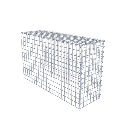 Grown-on gabion type 4 100 cm x 60 cm x 30 cm (L x H x D), mesh size 5 cm x 5 cm, spiral