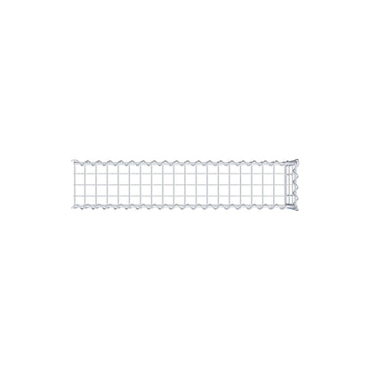 Opvokset gabion type 4 100 cm x 30 cm x 20 cm (L x H x D), maskestørrelse 5 cm x 10 cm, spiral
