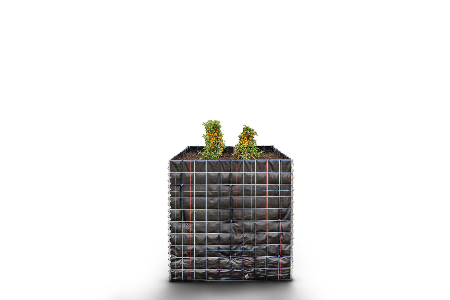 Rechthoekig verhoogd bed zonder stenen - Lengte: 100 cm - Hoogte: 100 cm - Diepte: 60 cm - Maaswijdte: 10 x 10 cm