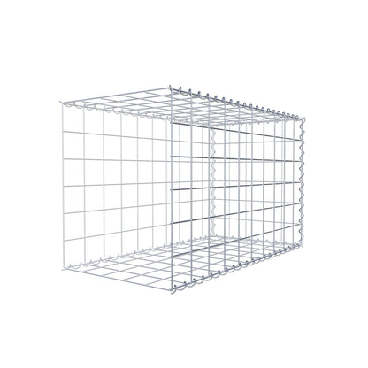 Grown-on gabion type 2 100 cm x 60 cm x 50 cm (L x H x D), mesh size 10 cm x 10 cm, spiral