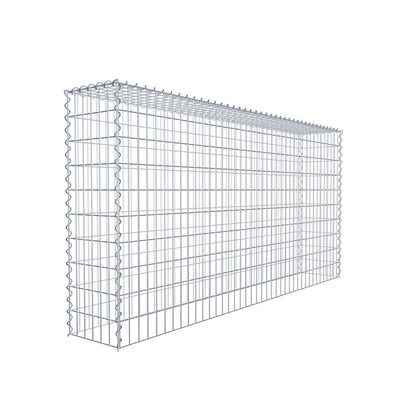 Grown-on gabion type 3 200 cm x 100 cm x 30 cm (L x H x D), mesh size 5 cm x 10 cm, spiral