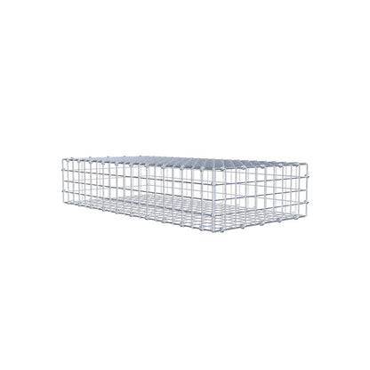 Gabion 100 cm x 20 cm x 50 cm (L x H x P), mailles 5 x 5 cm, anneau en spirale
