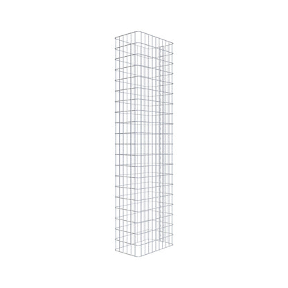 Gabione Zaun 05x10 052x200x032