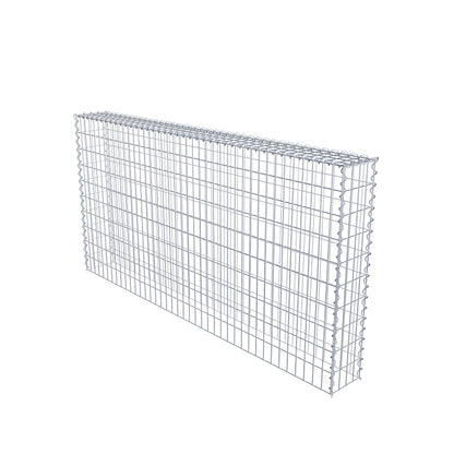 Grown-on gabion type 3 200 cm x 100 cm x 20 cm (L x H x D), mesh size 5 cm x 10 cm, spiral