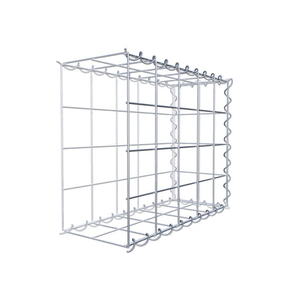 Grown-on gabion type 2 50 cm x 40 cm x 20 cm (L x H x D), mesh size 10 cm x 10 cm, spiral