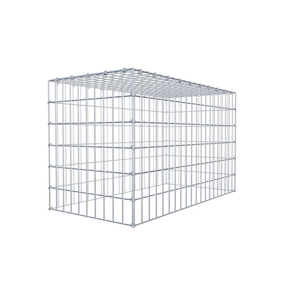 Type 3 oplegkorf 100 cm x 60 cm x 50 cm (L x H x D), maaswijdte 5 cm x 10 cm, C-ring