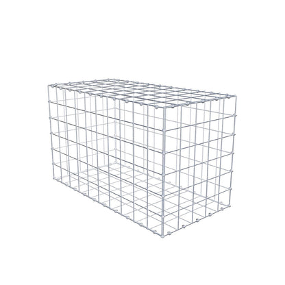 Gabbione 100 cm x 60 cm x 50 cm (L x H x P), maglia 10 x 10 cm, anello a spirale