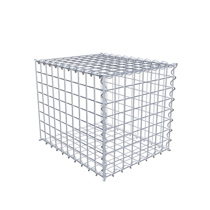 Grown-on gabion type 2 50 cm x 40 cm x 40 cm (L x H x D), mesh size 5 cm x 5 cm, spiral