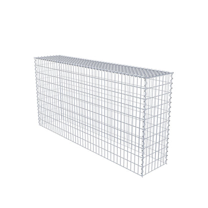 Grown-on gabion type 3 200 cm x 100 cm x 40 cm (L x H x D), mesh size 5 cm x 10 cm, spiral