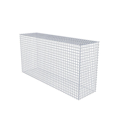 Gabion 200 cm x 100 cm x 50 cm (L x H x P), mailles 5 cm x 5 cm, spirale