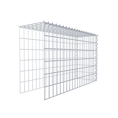 Grown-on gabion type 4 100 cm x 60 cm x 30 cm (L x H x D), mesh size 5 cm x 10 cm, spiral