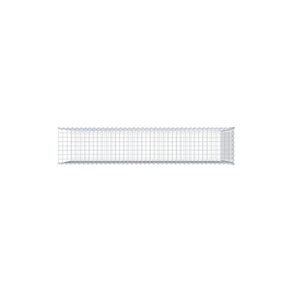 Grown-on gabion type 2 200 cm x 100 cm x 40 cm (L x H x D), mesh size 5 cm x 5 cm, spiral